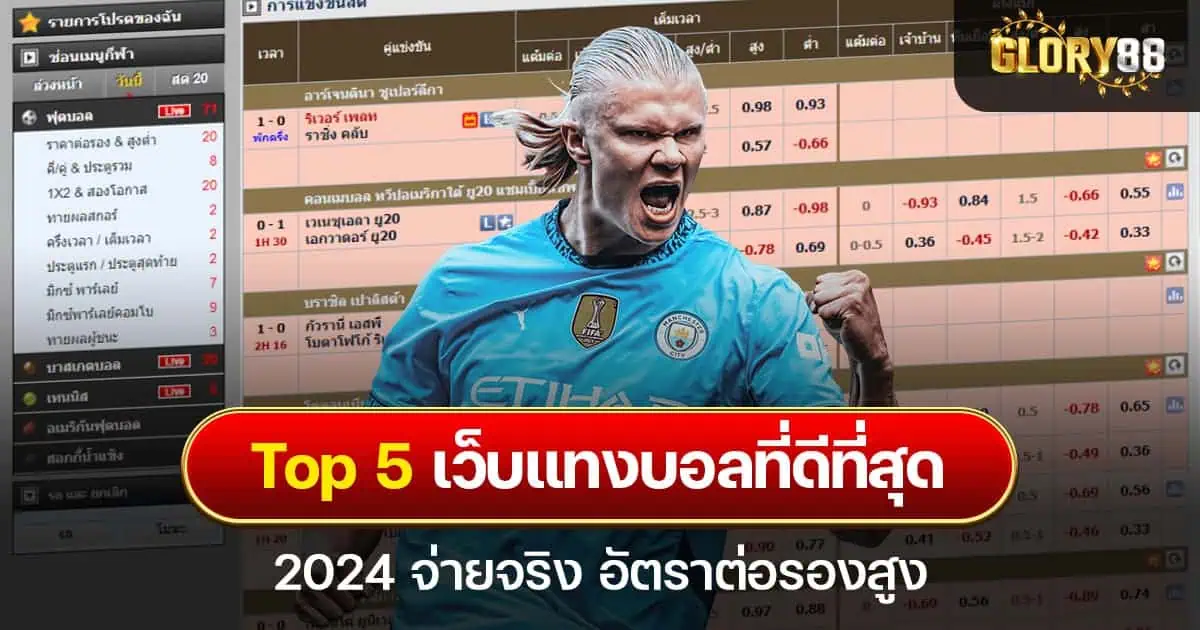 Top 5 เว็บแทงบอลที่ดีที่สุด 2024 จ่ายจริง อัตราต่อรองสูง