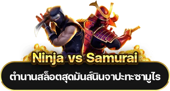 Ninja vs Samurai