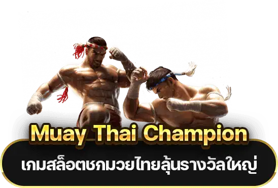 Muay Thai Champion