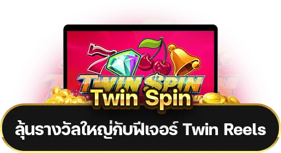 Twin Spin