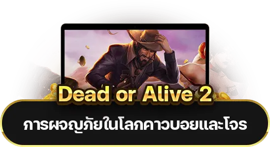 Dead or Alive 2